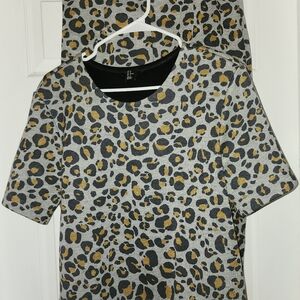 Leopard Print Top and Skirt Set